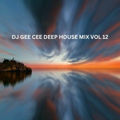 DJ GEE CEE DEEP HOUSE MIX VOL 12