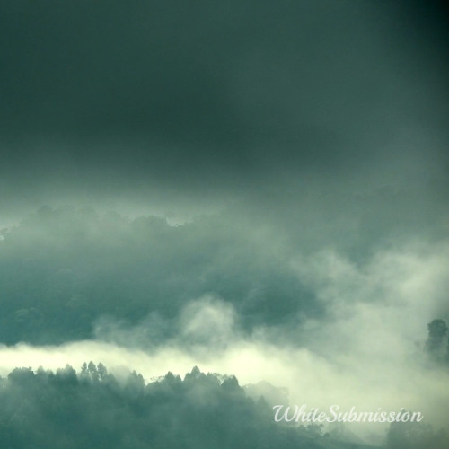 WhiteSubmission BNWO Playlist