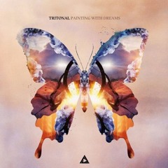 Tritonal ft Shy Martin- Painting with Dreams [WANG Remix]