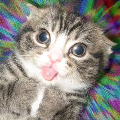 yurigy & egorose - танцуй (prod. greyrock, yuuuchi, k4neswagga)