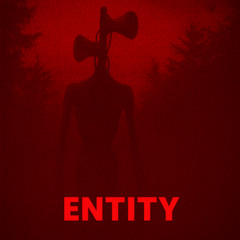 ENTITY