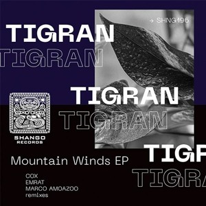 Tigan - Mountain Trip (Emrat Remix)
