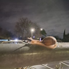 31 ft. voidofyayo and zaidenoffaperk