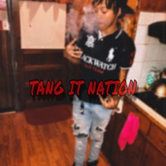TANG IT NATION *Mani Anthem*(NASSIE VERSION)- @nxssiegang