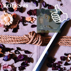 ROPES #8