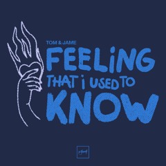 Tom & Jame - Feeling That I Used To Know [Be Yourself Music]