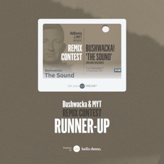 Bushwhacka - The Sound (aL Leahy Remix)