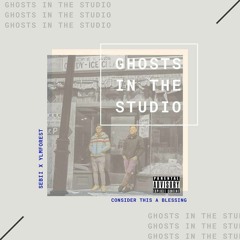 Too Much Smoke (Ylm Forest x Lilboozievert x Sebii)