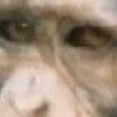 Kendrick Lamar Scream