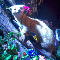 branza for Linda Noche Producciones @KTS Freiburg