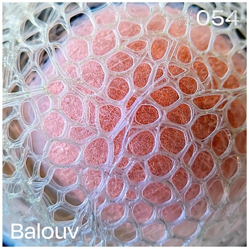 kfpnyx 054 by balouv