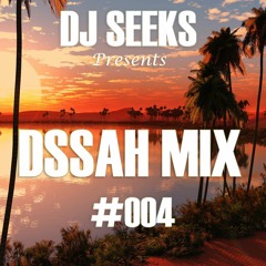 DJ SEEKS - DSSAH MIX #004 (SOULFUL HOUSE MIX)