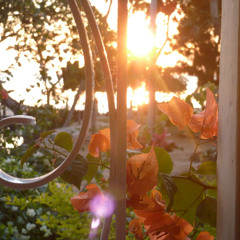 Fire and Light
