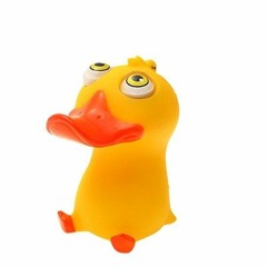 NeShi - Trip The Duck Out