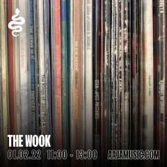 The Wook - Aaja Channel 1 - 01 02 22