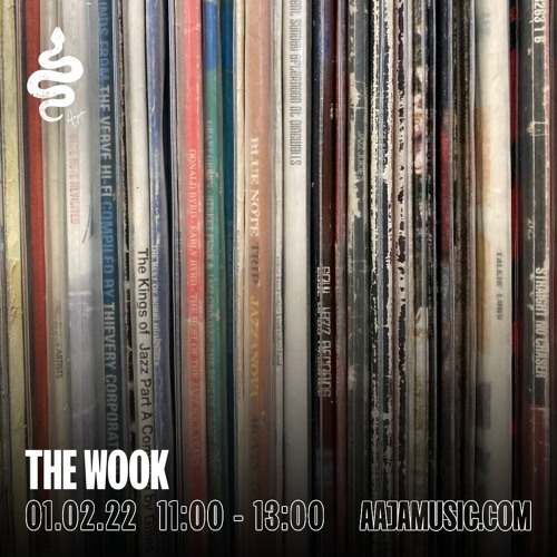 The Wook - Aaja Channel 1 - 01 02 22