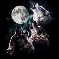 Three Wolf Moon Type Beat