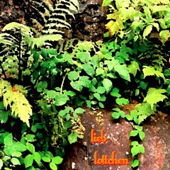 Lieb Lottchen