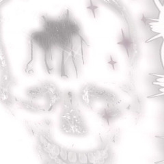 ecco2k peroxide cover