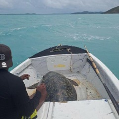 Jancrow | Demarco ♠♦♣