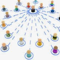 Organisation Dnb