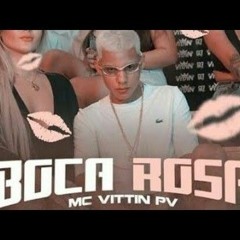 MC Vittin PV - Sócial Com As Boca Rosa - Então Vai Descendo [Áudio Oficial]