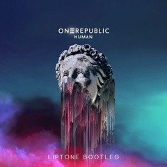 OneRepublic - Someday (Liptone Bootleg)