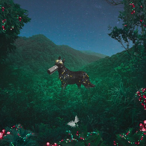 Apaj - The Wet Path (Antaares Remix)