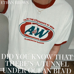 Did you know that there's a tunnel under Ocean Blvd (Lana Del Rey Cover)