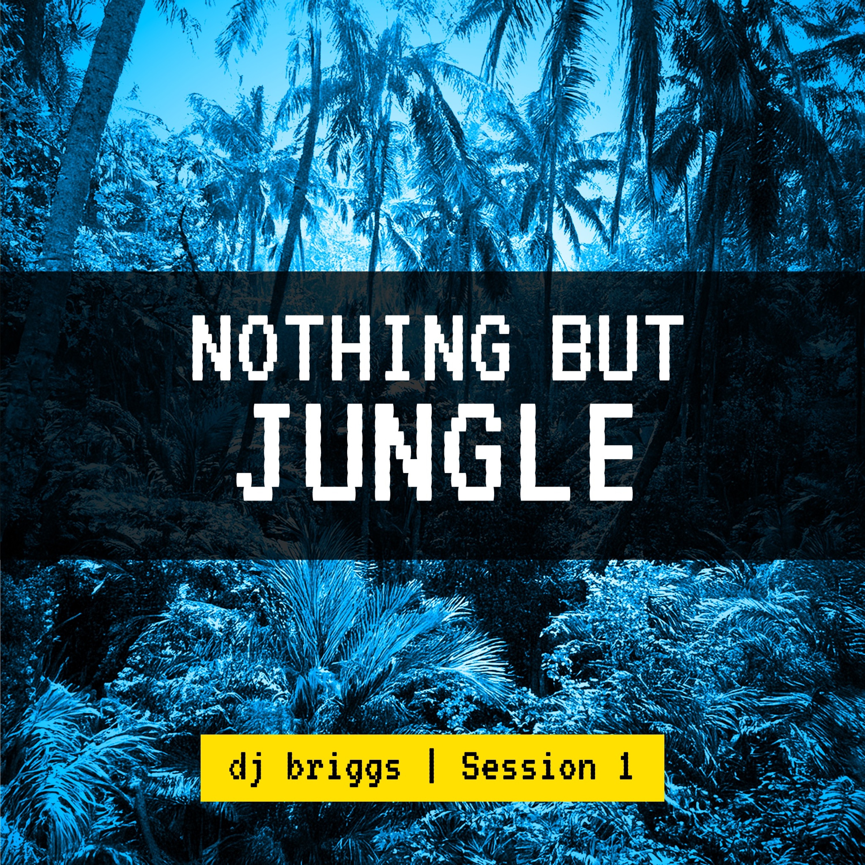 Nothing But Jungle Session 1 episode artwork