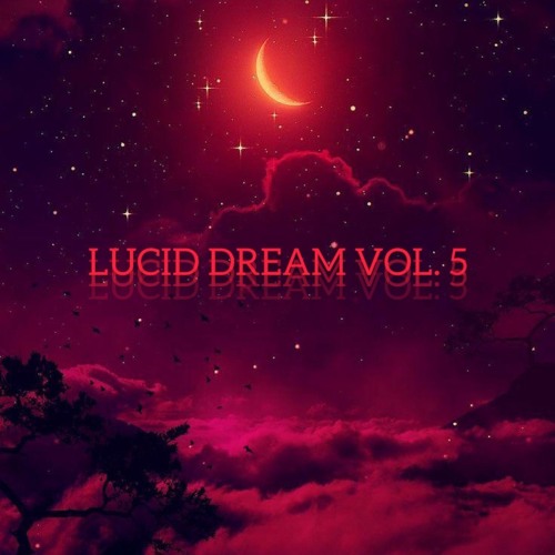 LUCID DREAM VOL. 5