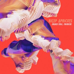 Bicep - Apricots (jaxx Inc Remix)