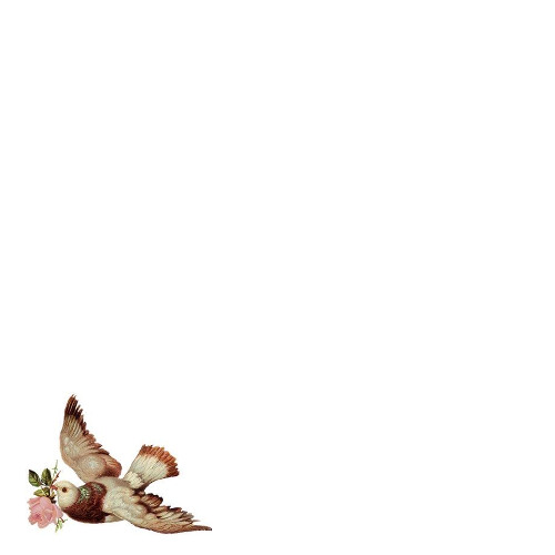 Bape Wit Da Crocs (Garden Mix)