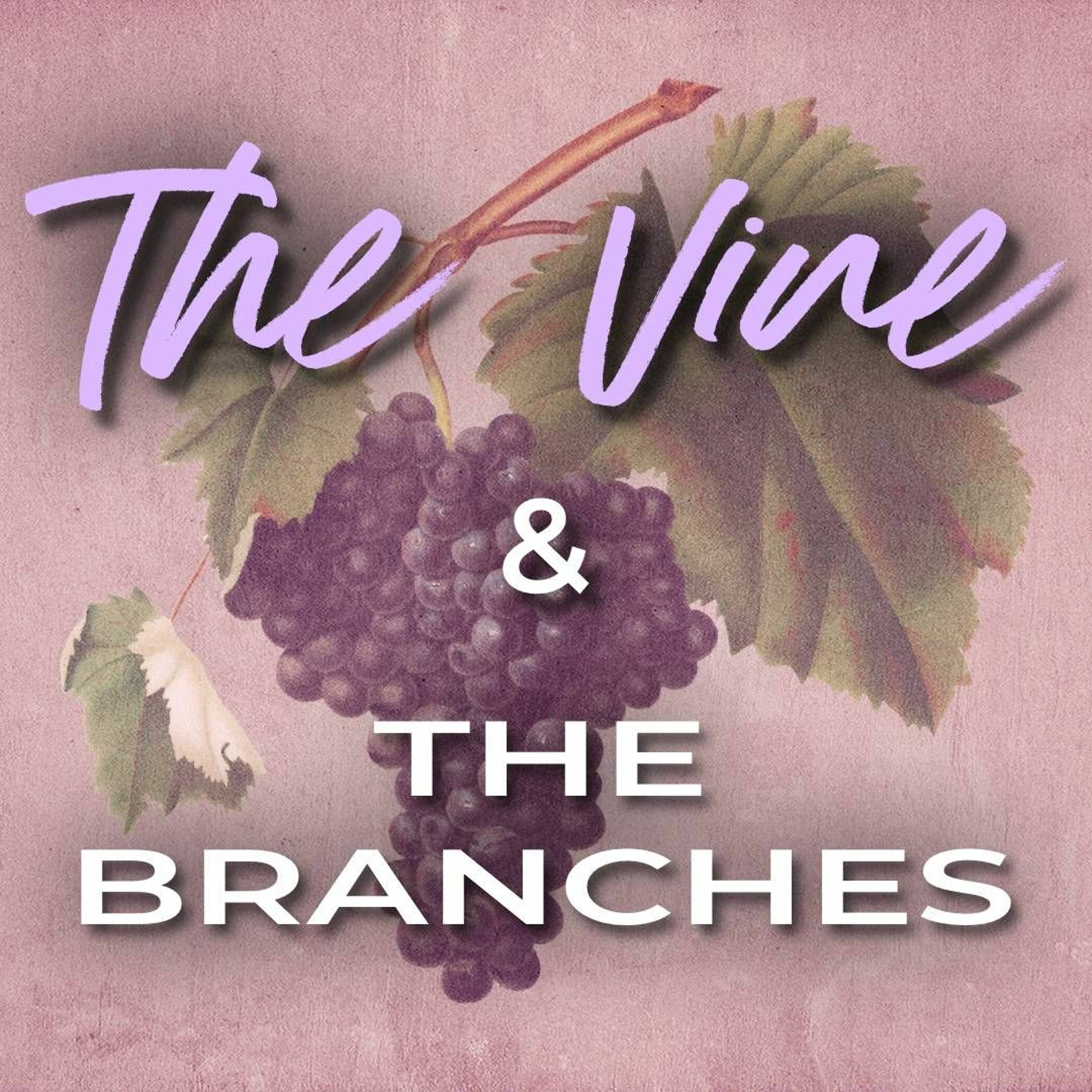 Sean Wisse: The Vine and the Branches (John 15:1-8) episode artwork