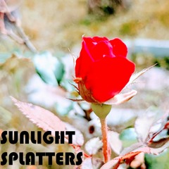 Sunlight Splatters