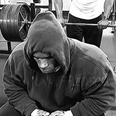 Deftones-(L)Mirl x Kevin levrone - finding your purpose