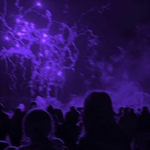 emily jeffri - light this graveyard