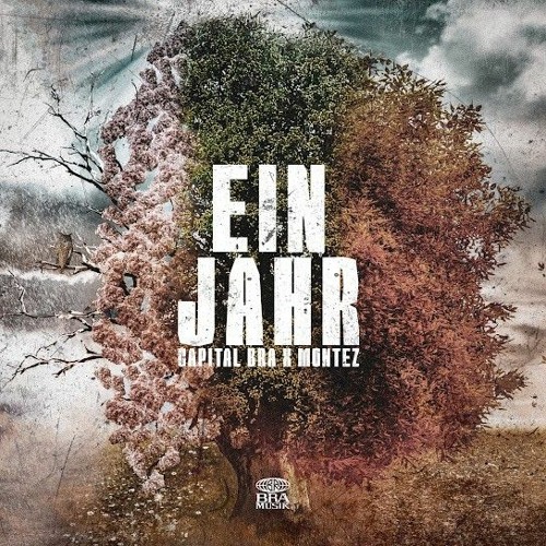 Ein Jahr - Capital Bra & Monez