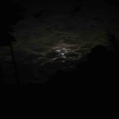 sorry if i bug u (flight7n yk choobee)