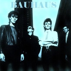 // IN THE FLaT FIELD //  (BAUHAUS) SIDE A.