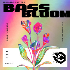 ASCENT AT BASS BLOOM