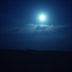 Shadows in the Echoes