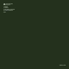SR021 | Shintarø Kanie - Evolve EP