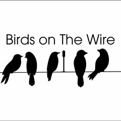 Birds on the Wire Podcast 15th March 2023