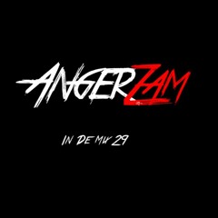 Angerzam in de Mix 29