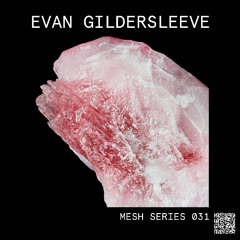 Mesh Mix Series 031: Evan Gildersleeve