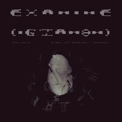 examine-mix-17-w-dj-§piral-2021-09-02