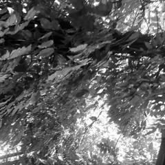 Smooth`n sunny saturday (138)