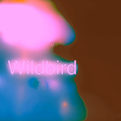 Wildbird