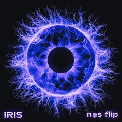 The Goo Goo Dolls - IRIS (nos flip)
